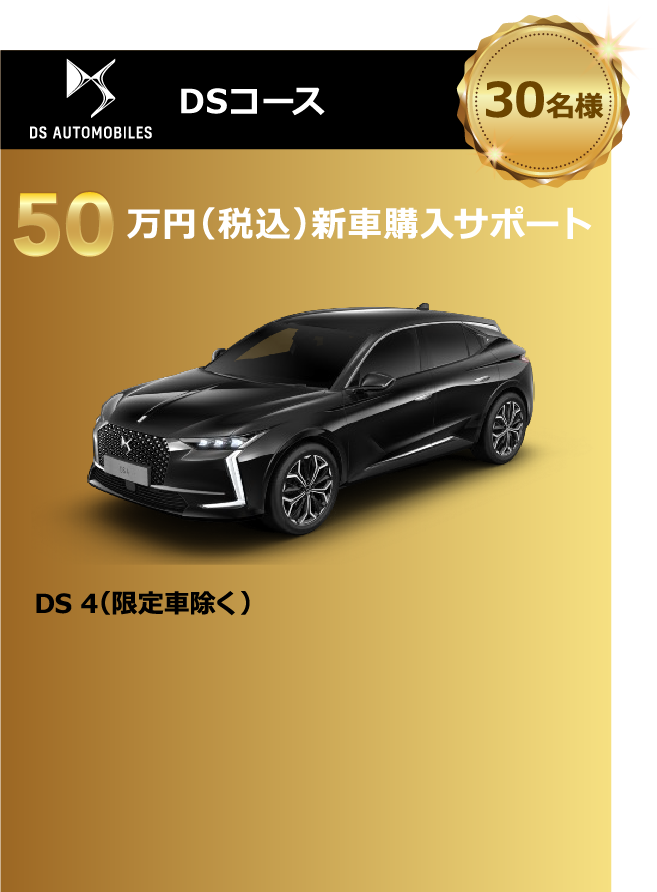 DSコース 75万円（税込）新車購入サポート