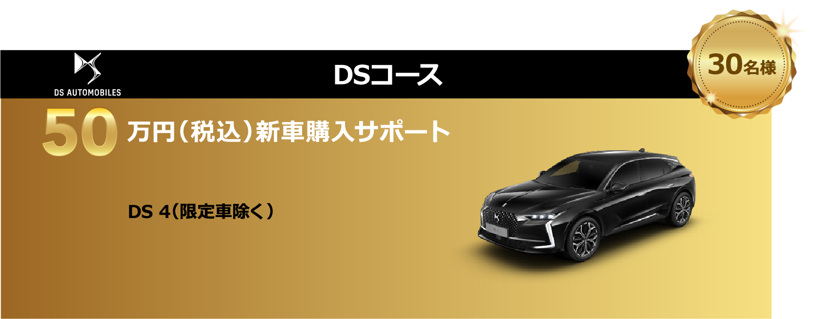 DSコース 75万円（税込）新車購入サポート